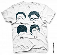 Big Bang Theory tričko, Theory Prefix Heads, pánske