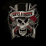 Guns N Roses mikina, Distressed Skull, pánska