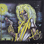 Iron Maiden peňaženka 11 x 9 x 2 cm s řetízkem/ 220 g, Killers
