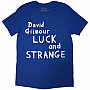 Pink Floyd tričko, David Gilmour Luck & Strange Logo BP Blue, pánske